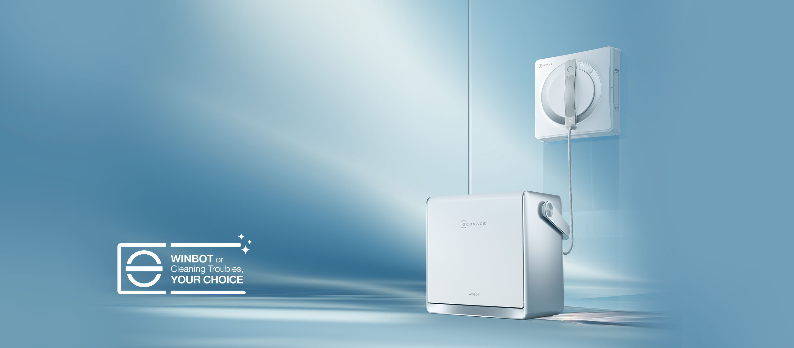 Ecovacs winbot